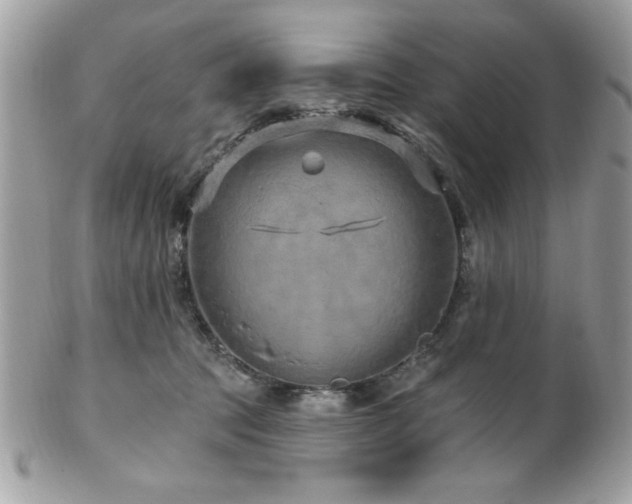 X0000102310369200807251445