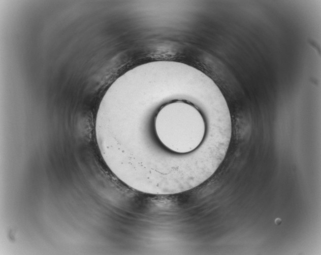 X0000102310370200807251445