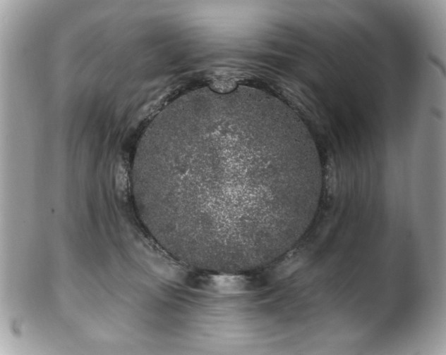 X0000102310371200807251445