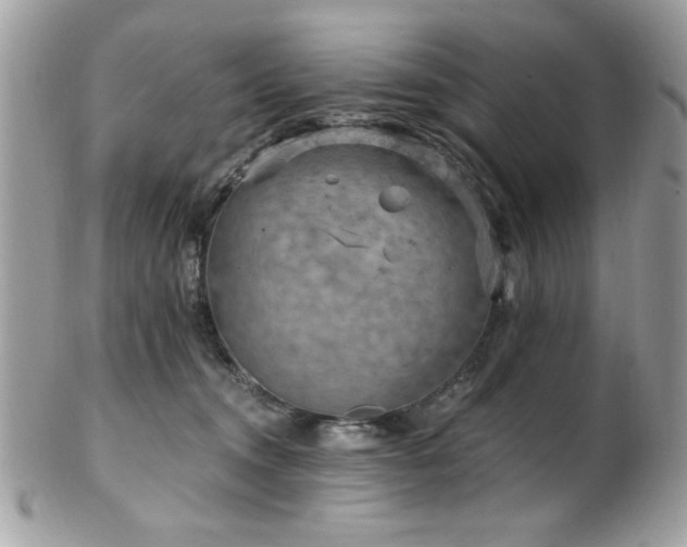 X0000102310372200807251445