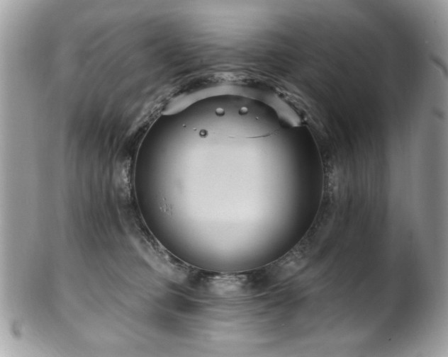 X0000102310373200807251445