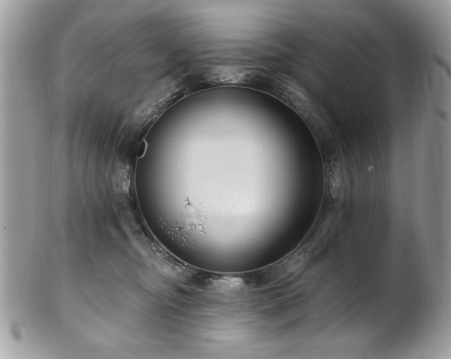 X0000102310374200807251445