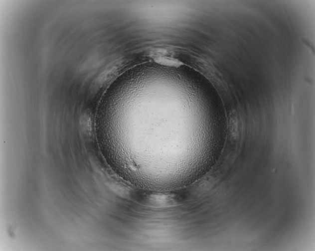 X0000102310375200807251445