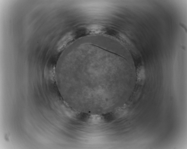 X0000102310376200807251445