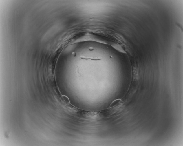 X0000102310377200807251445