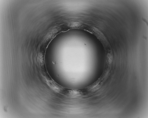 X0000102310380200807251445