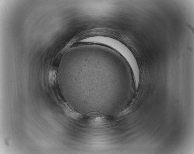 X0000102310382200807251445