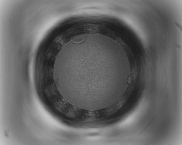 X0000102310383200807251445