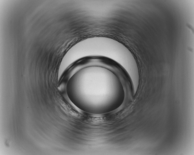 X0000102310384200807251445