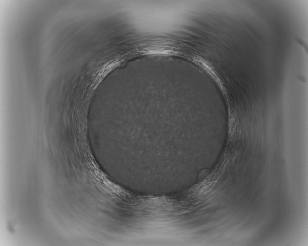 X0000102310385200807251445