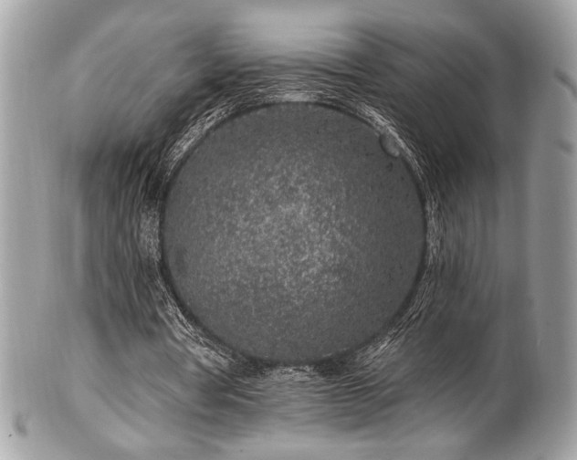 X0000102310386200807251445