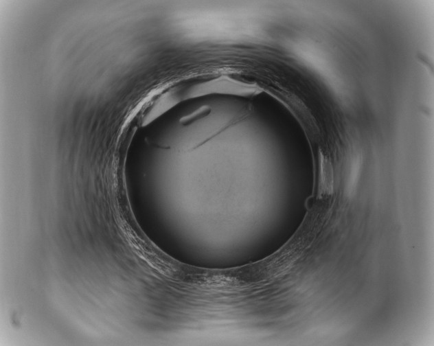 X0000102310387200807251445