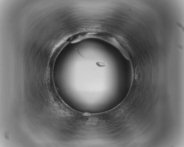 X0000102310388200807251445