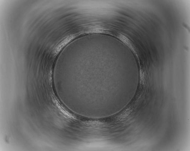 X0000102310389200807251445