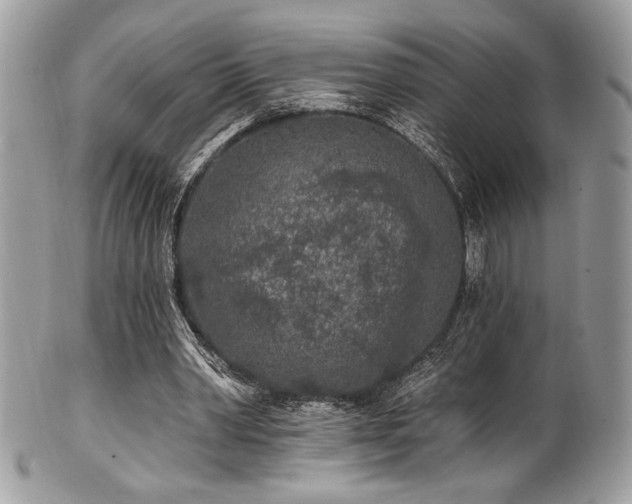 X0000102310390200807251445