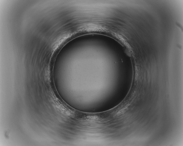 X0000102310391200807251445