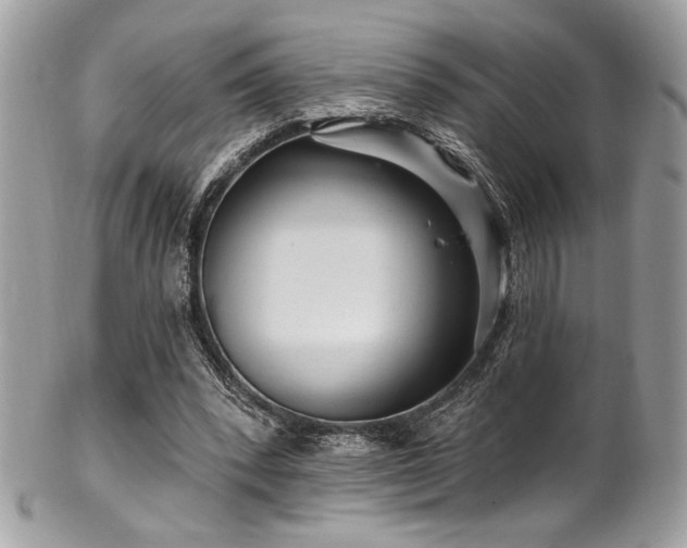 X0000102310392200807251445