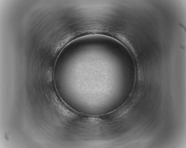 X0000102310393200807251445