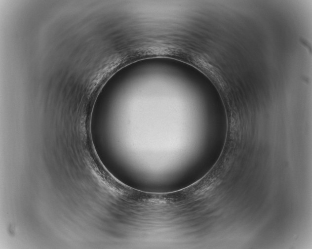 X0000102310394200807251445