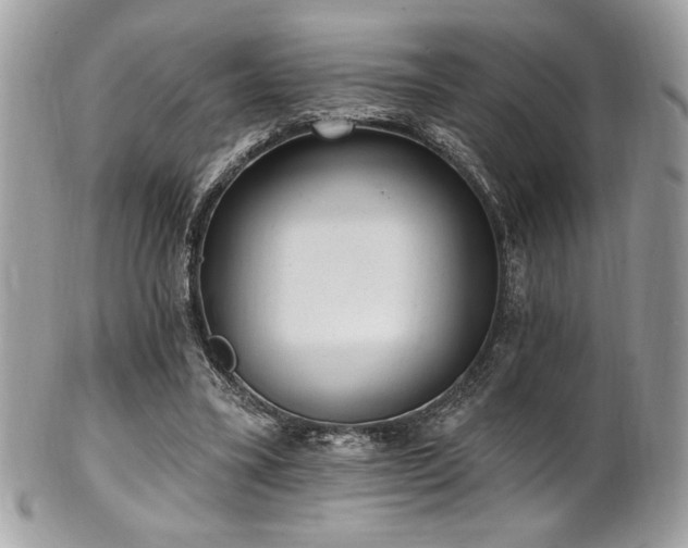 X0000102310395200807251445