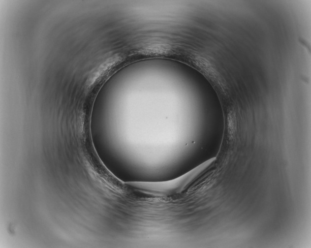 X0000102310396200807251445