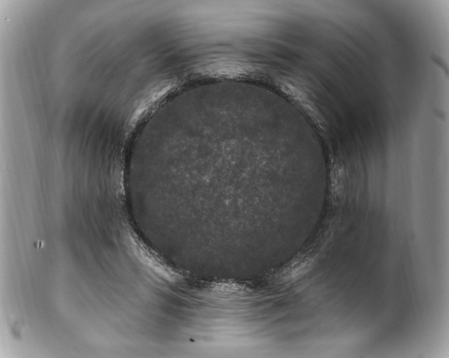 X0000102310399200807251445