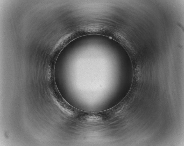 X0000102310400200807251445