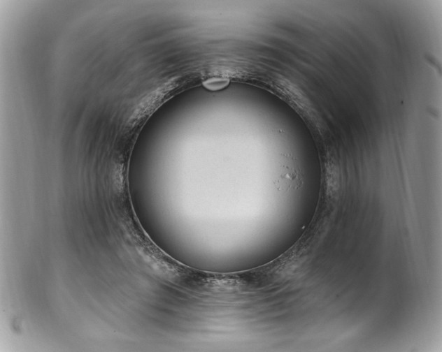 X0000102310401200807251445