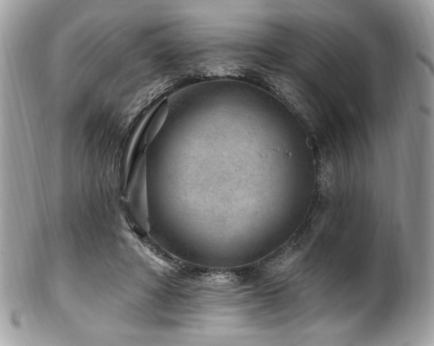 X0000102310402200807251445