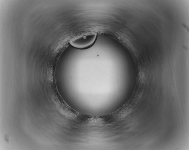 X0000102310403200807251444