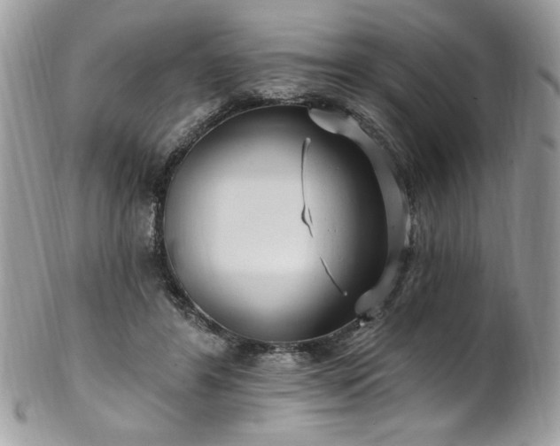 X0000102310404200807251444