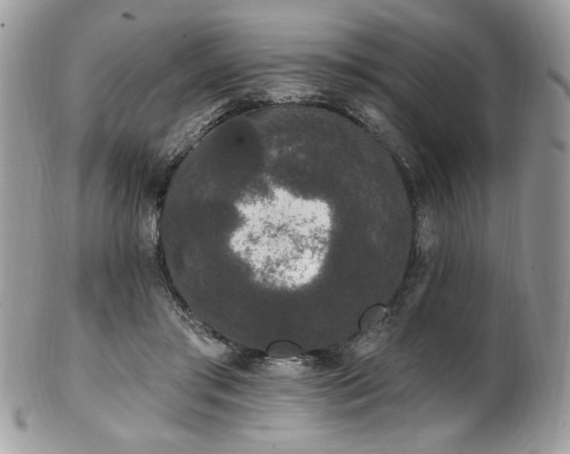 X0000102310405200807251444