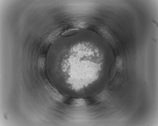 X0000102310409200807251444