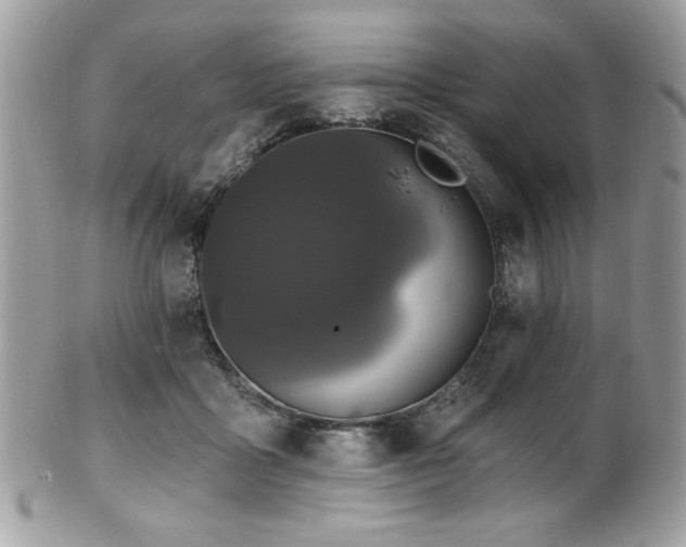 X0000102310411200807251444