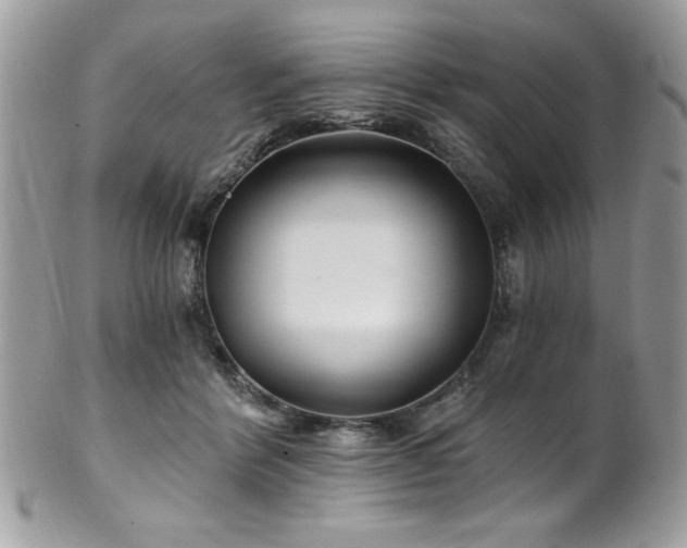 X0000102310412200807251444