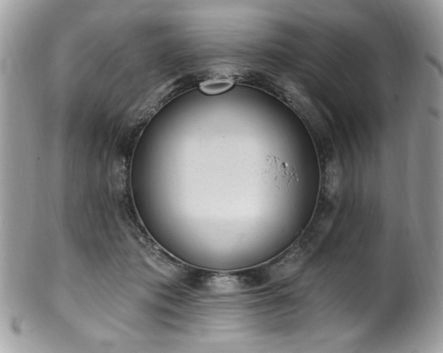 X0000102310413200807251444