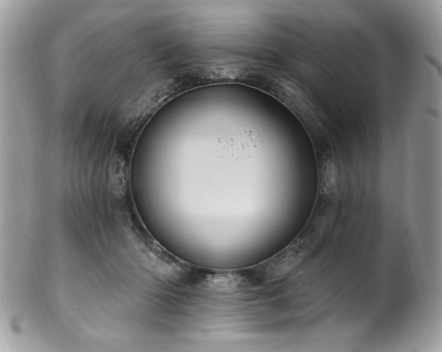 X0000102310414200807251444