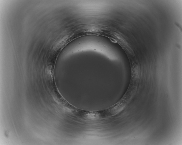 X0000102310415200807251444