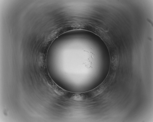 X0000102310416200807251444