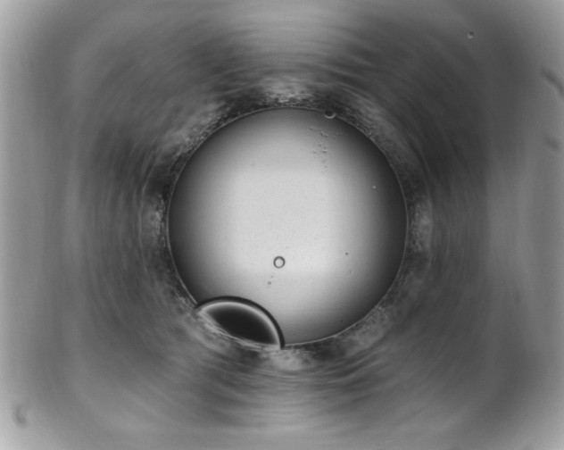 X0000102310417200807251444