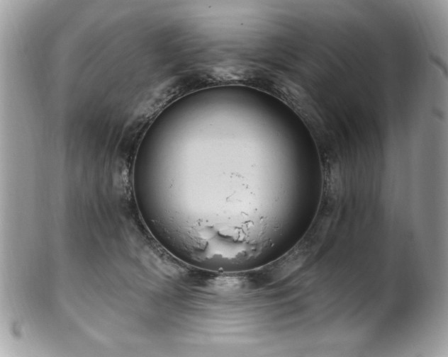 X0000102310418200807251444