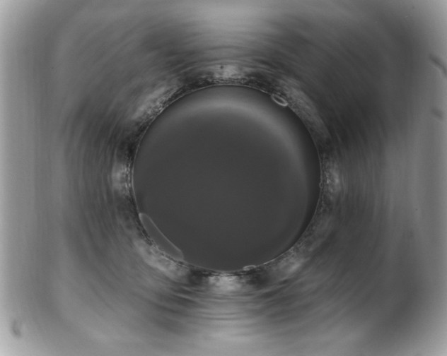 X0000102310419200807251444