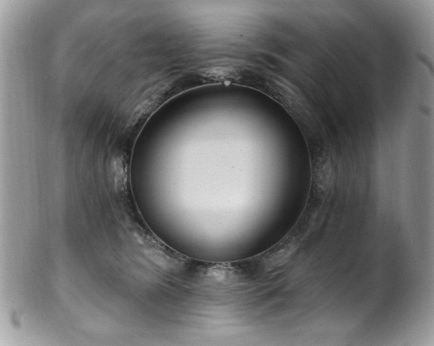 X0000102310420200807251444