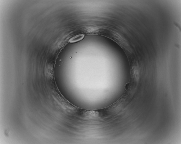 X0000102310421200807251444