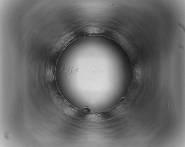 X0000102310422200807251444