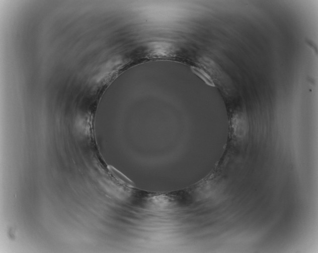 X0000102310423200807251444