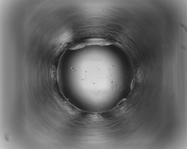 X0000102310424200807251444