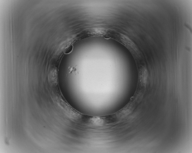 X0000102310425200807251444