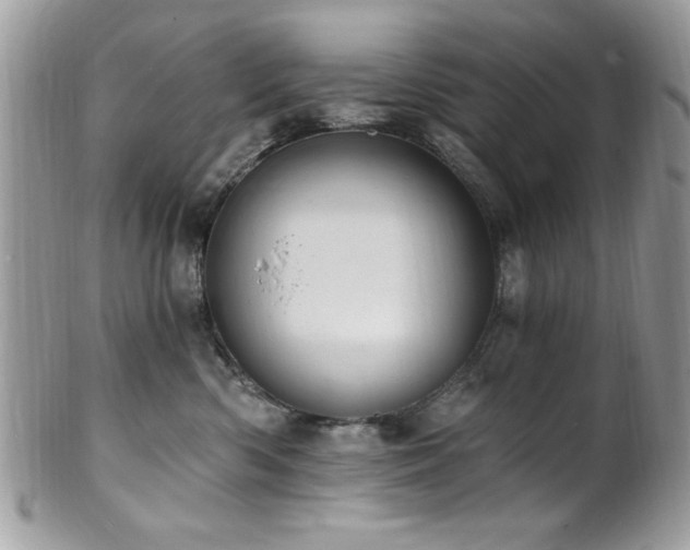 X0000102310426200807251444