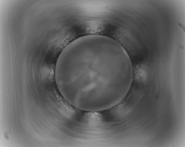 X0000102310427200807251444